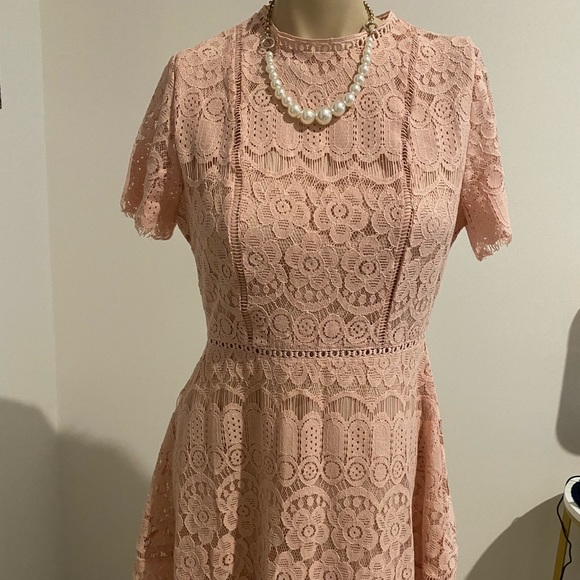 Blu Pepper Lace Dress Size M👗 - Picture 3 of 15